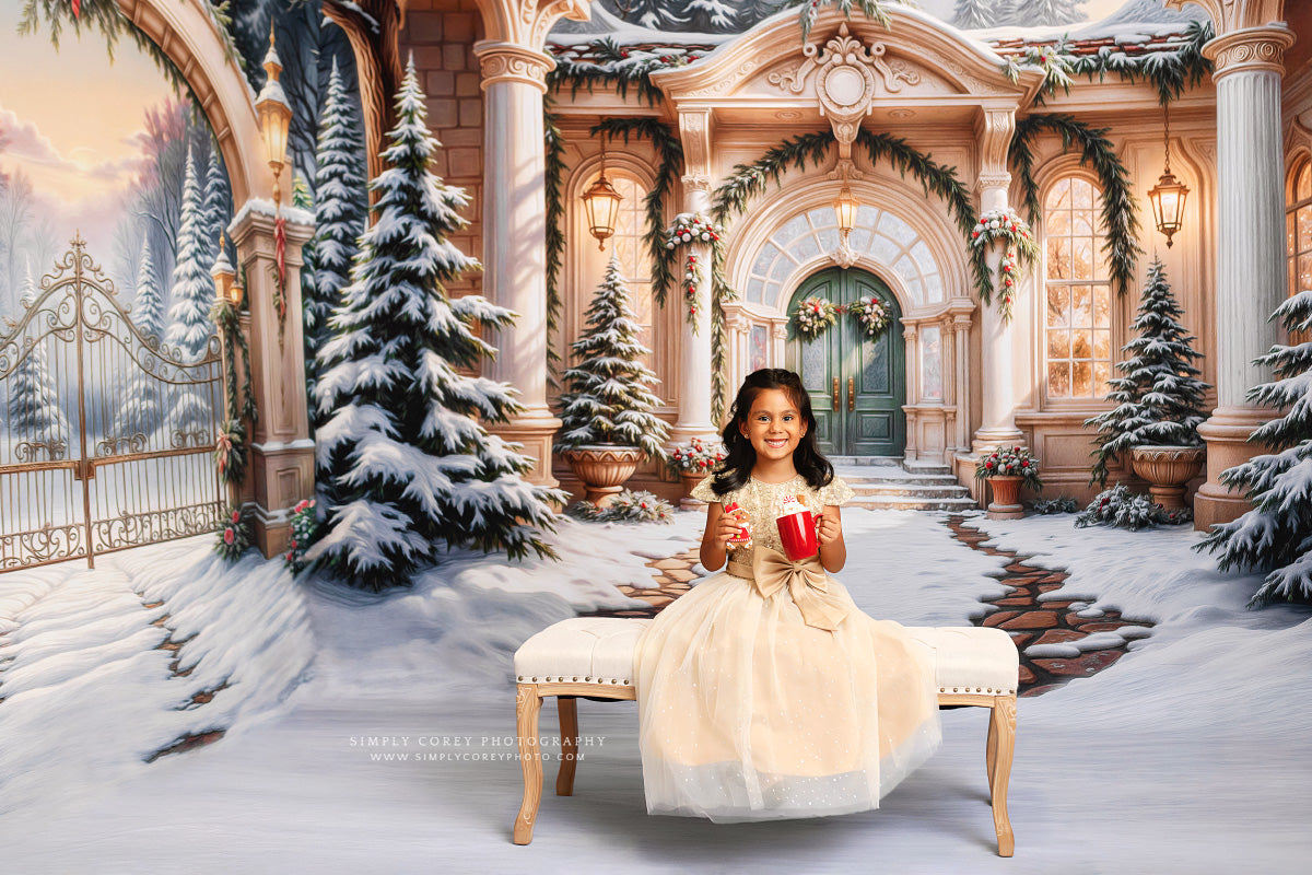 Winter At Pinecrest Villa - ROOM