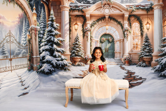 Winter At Pinecrest Villa - ROOM