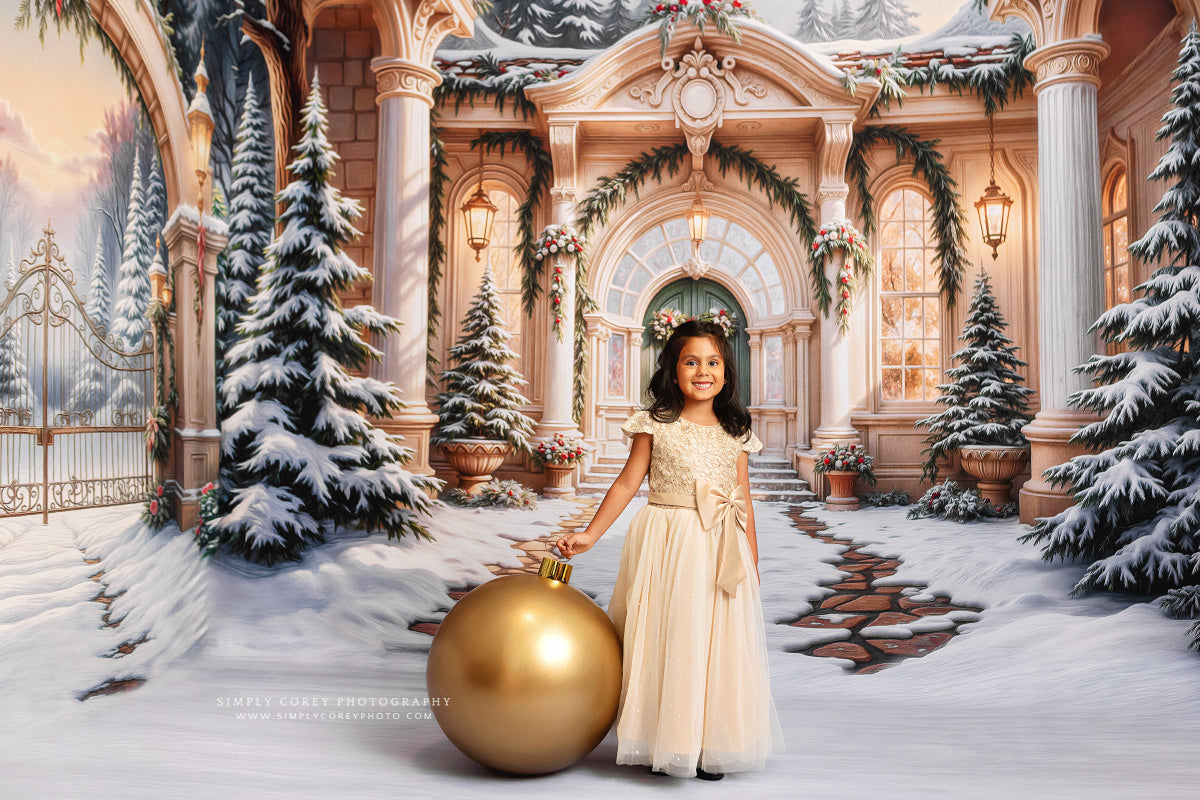 Winter At Pinecrest Villa - ROOM