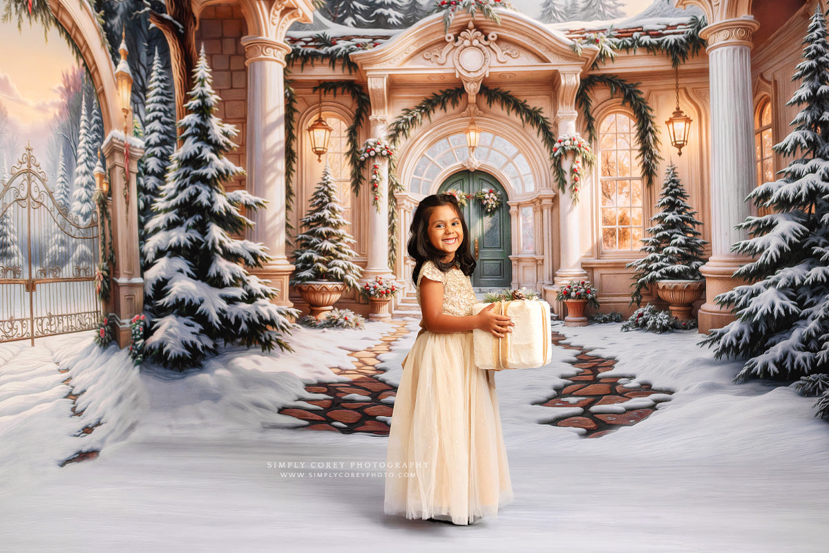 Winter At Pinecrest Villa - ROOM