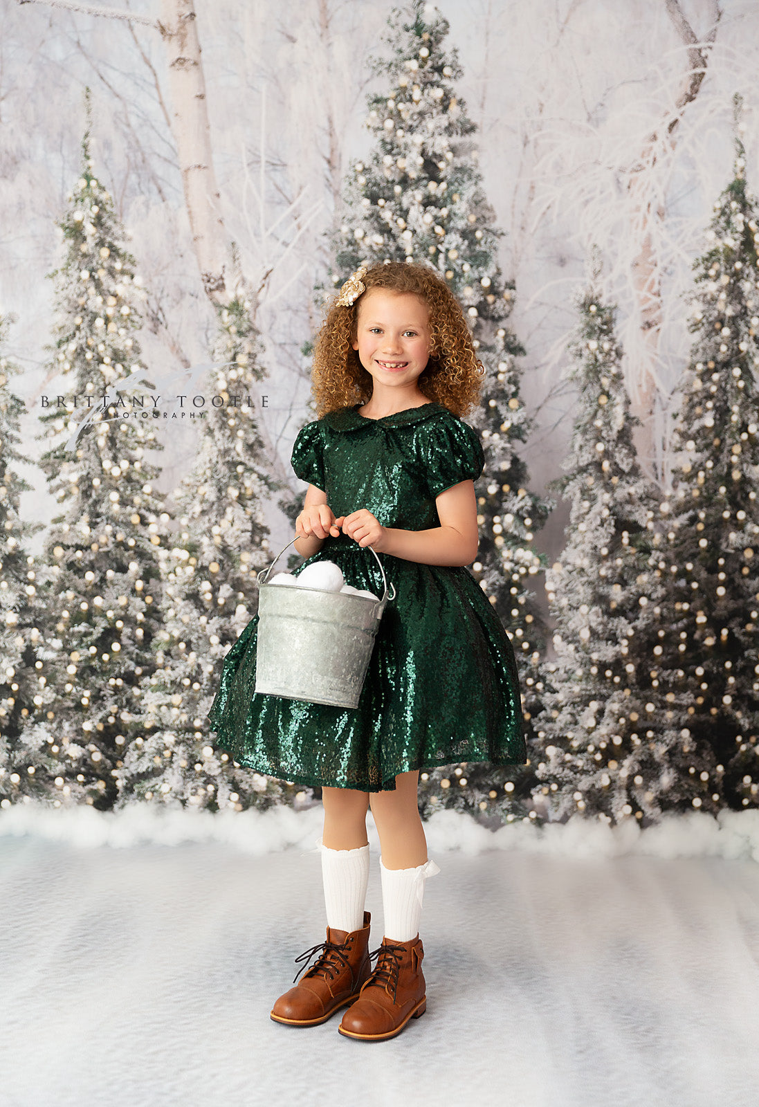 Snowy Tree Farm Entry - 2pc Room