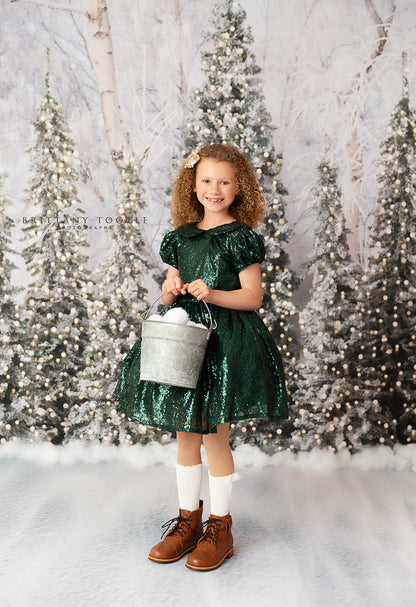 Snowy Tree Farm Entry - 2pc Room