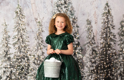 Snowy Tree Farm Entry - 2pc Room