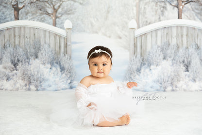 Winter Forest Entrance - with Sweep Option