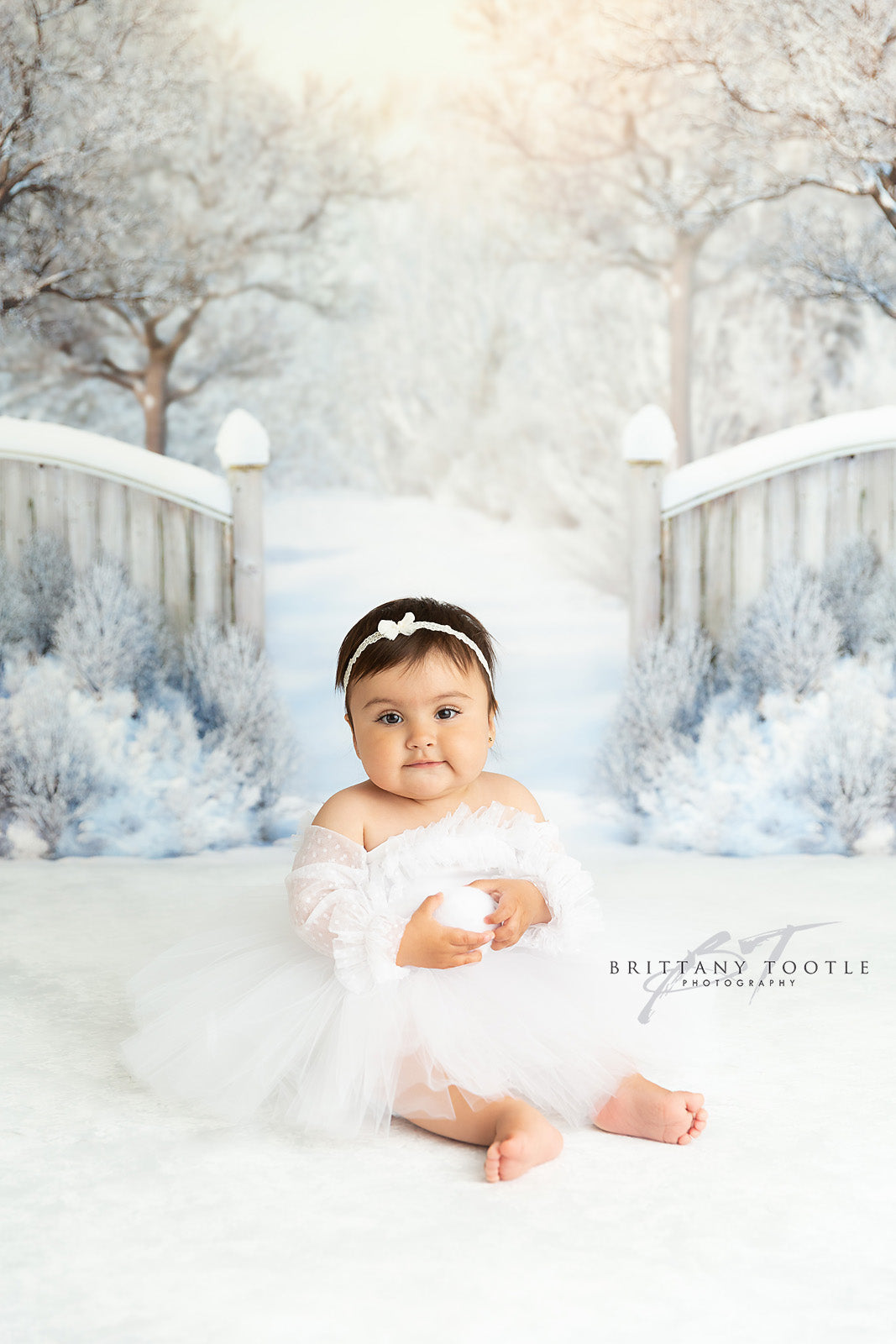 Winter Forest Entrance - with Sweep Option