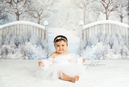 Winter Forest Entrance - with Sweep Option