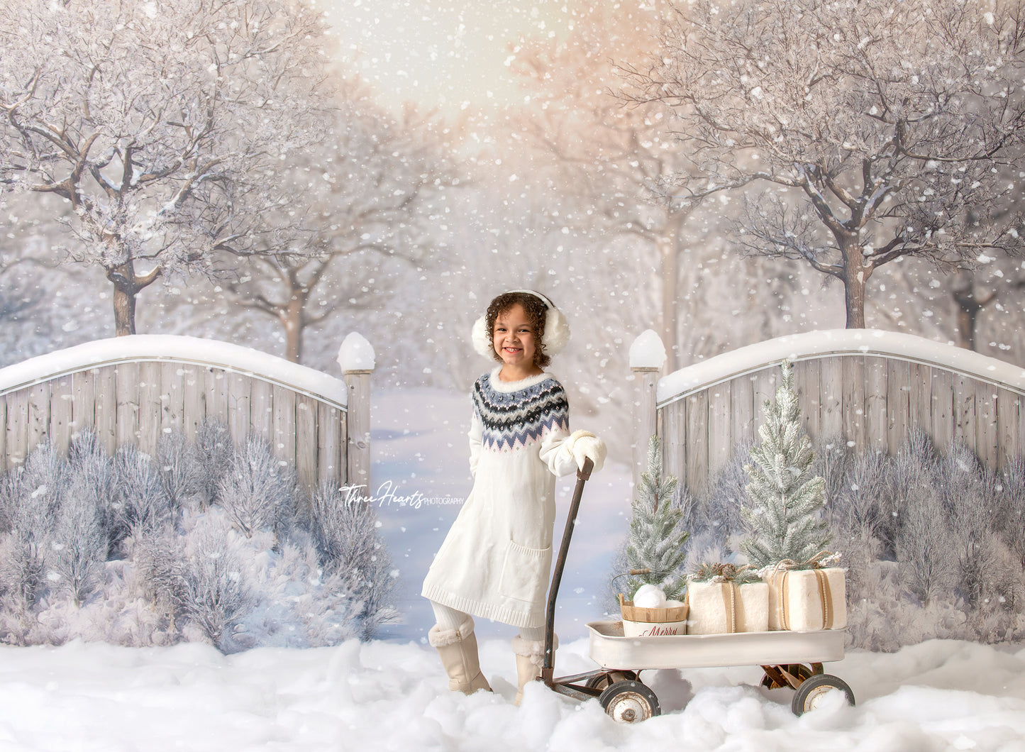 Winter Forest Entrance - with Sweep Option