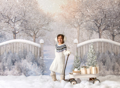 Winter Forest Entrance - with Sweep Option