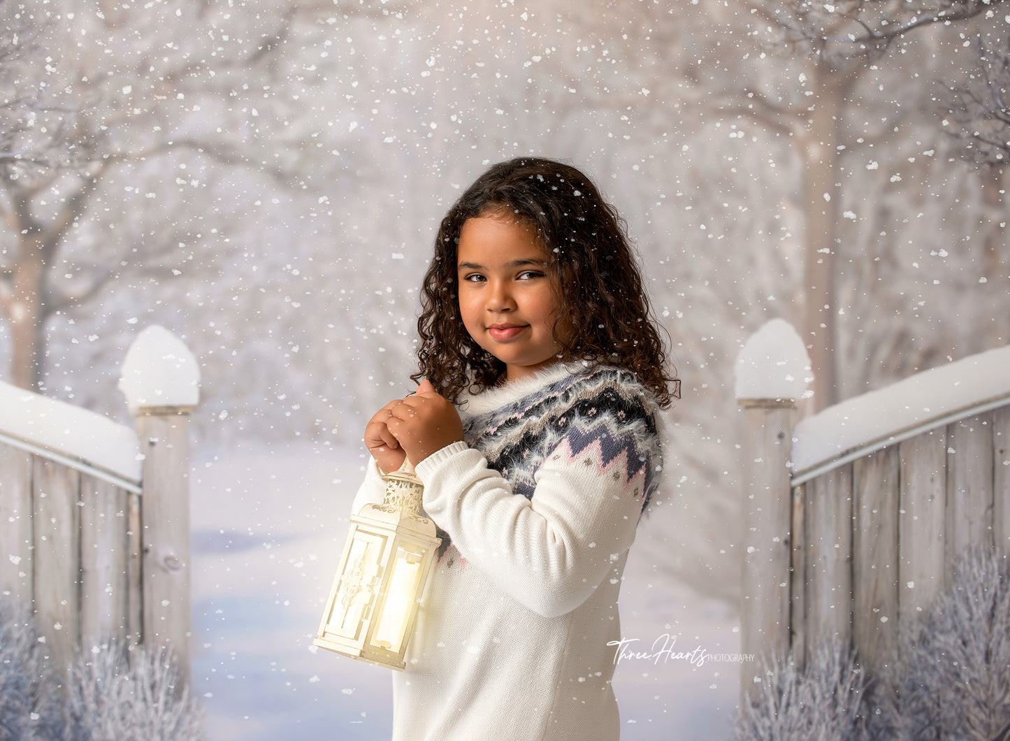 Winter Forest Entrance - with Sweep Option