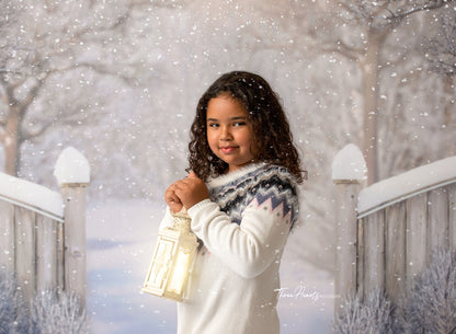 Winter Forest Entrance - with Sweep Option