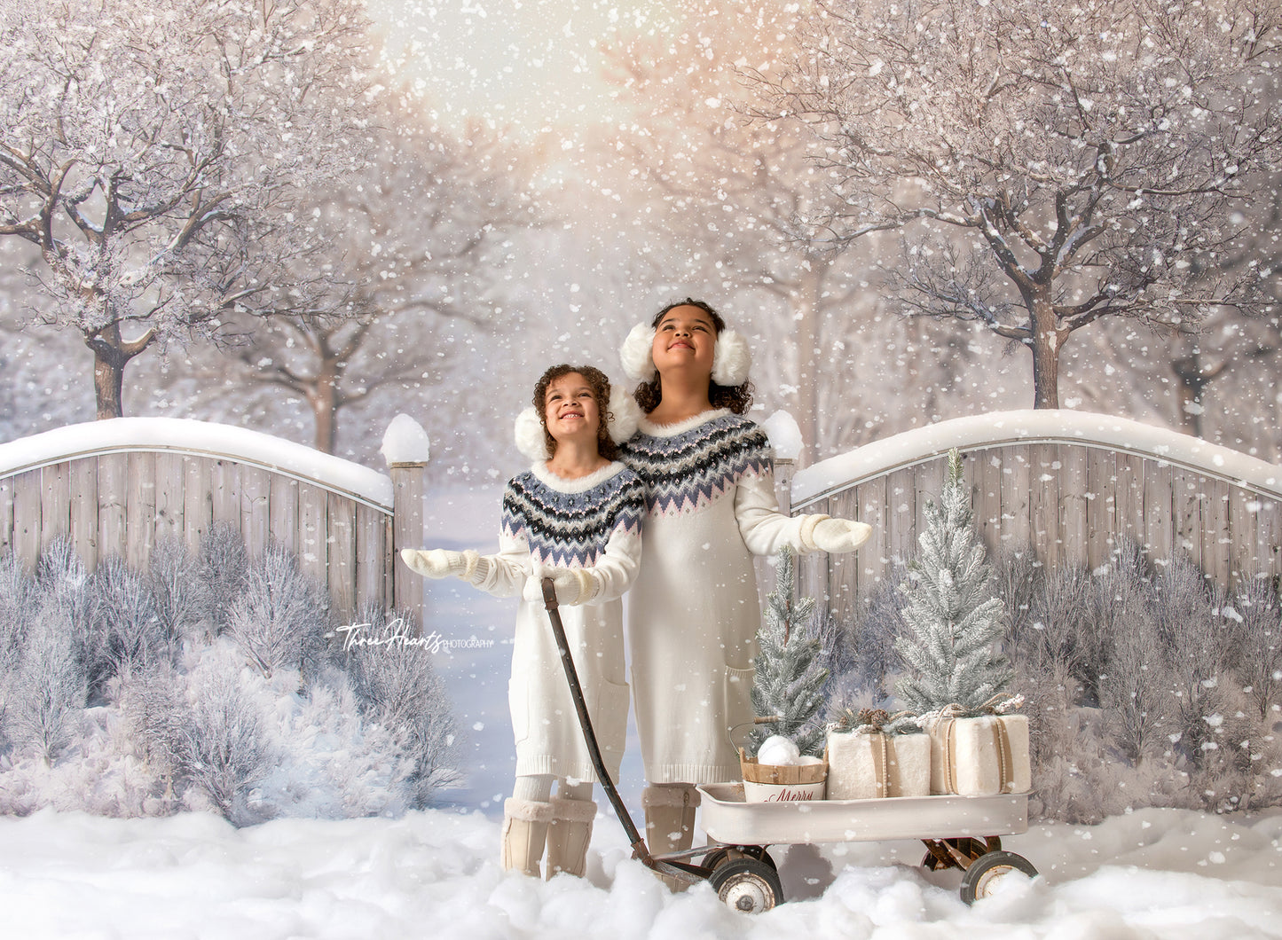 Winter Forest Entrance - with Sweep Option