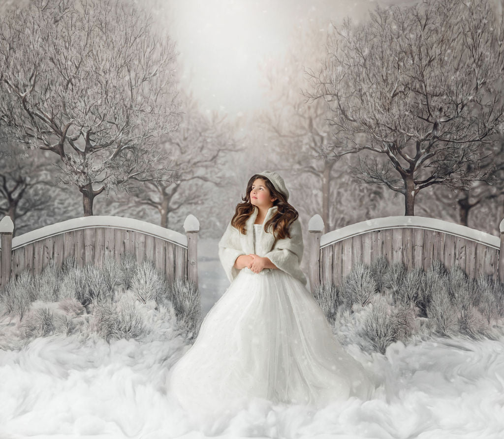 Winter Forest Gate 2pc Room