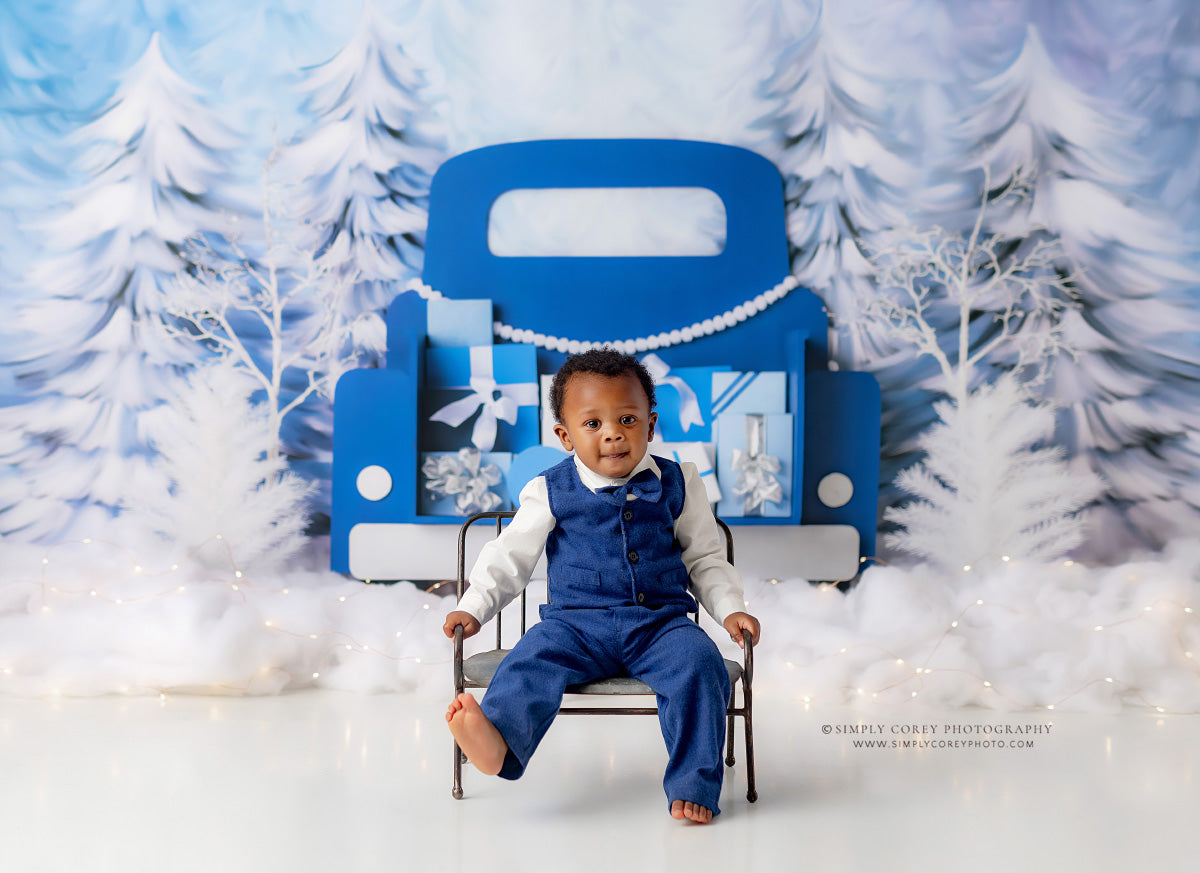 Winter Wonderland Delivery