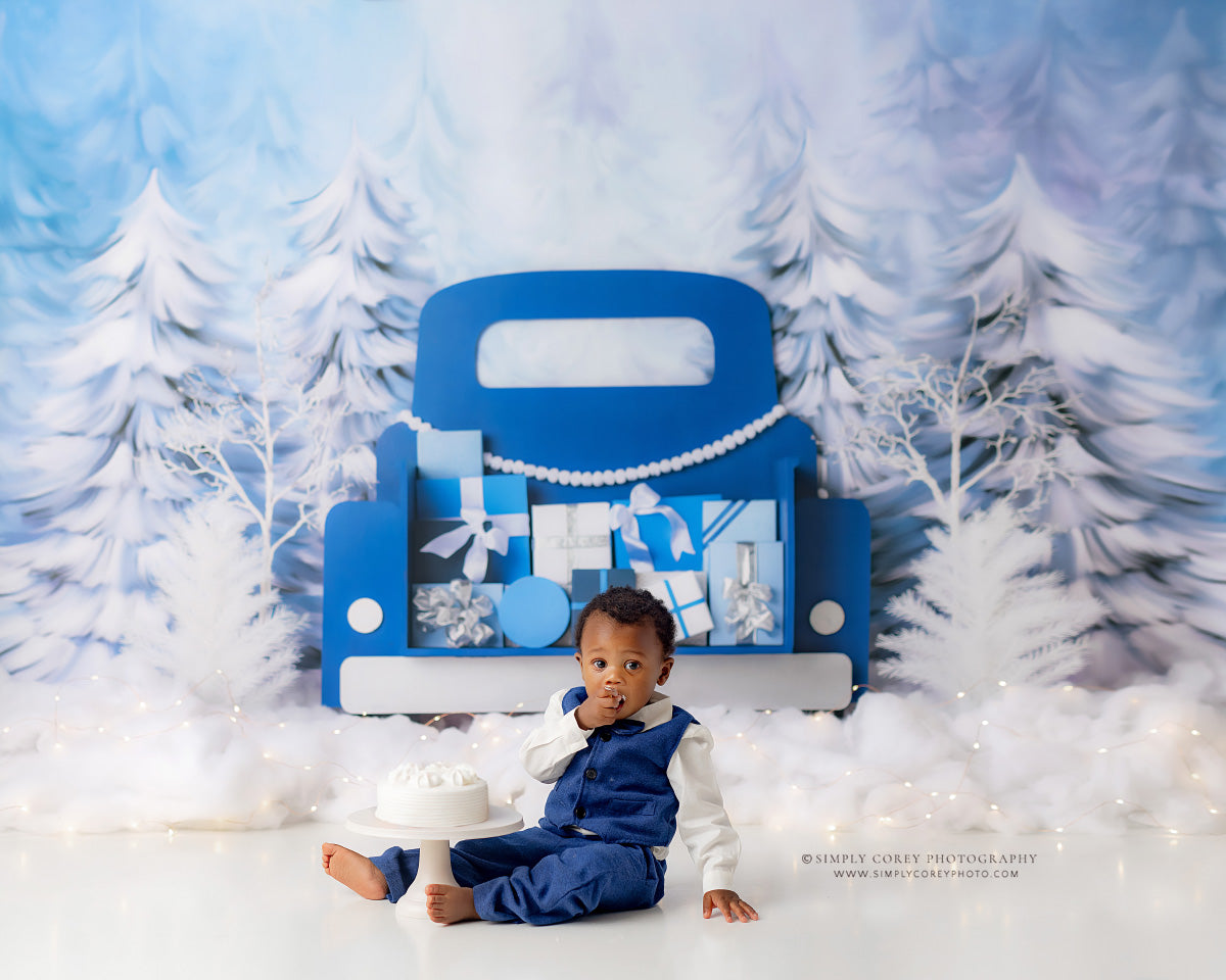 Winter Wonderland Delivery