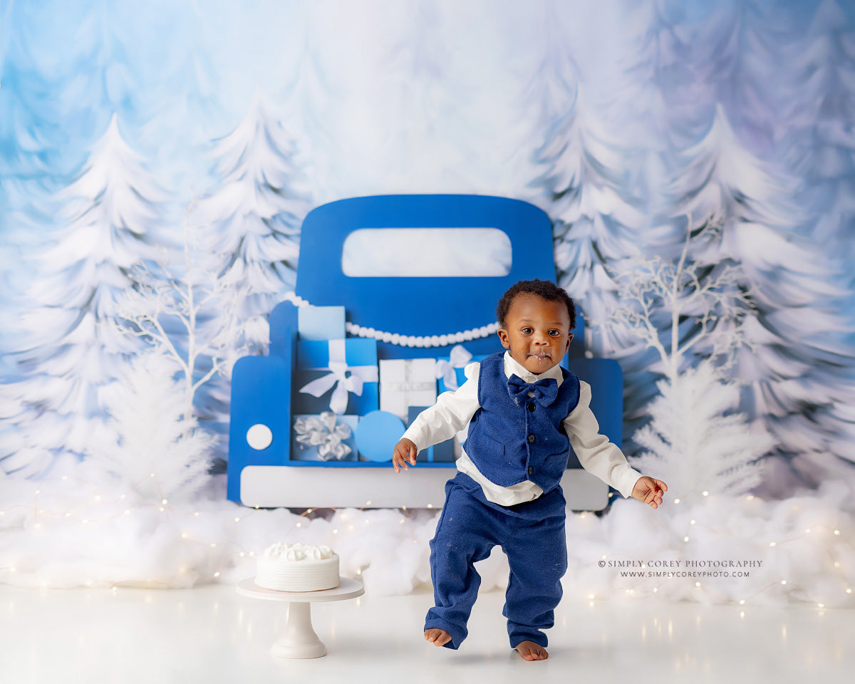 Winter Wonderland Delivery