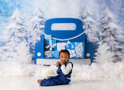 Winter Wonderland Delivery