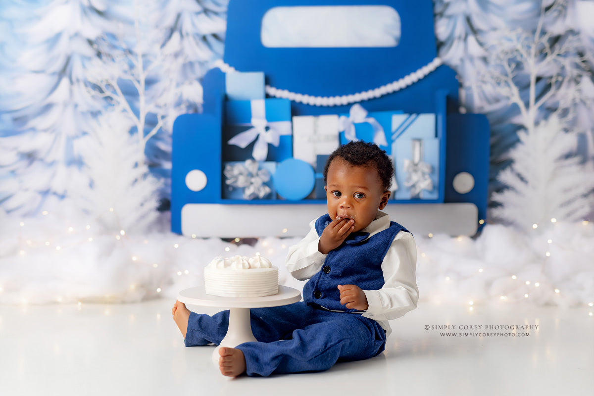 Winter Wonderland Delivery