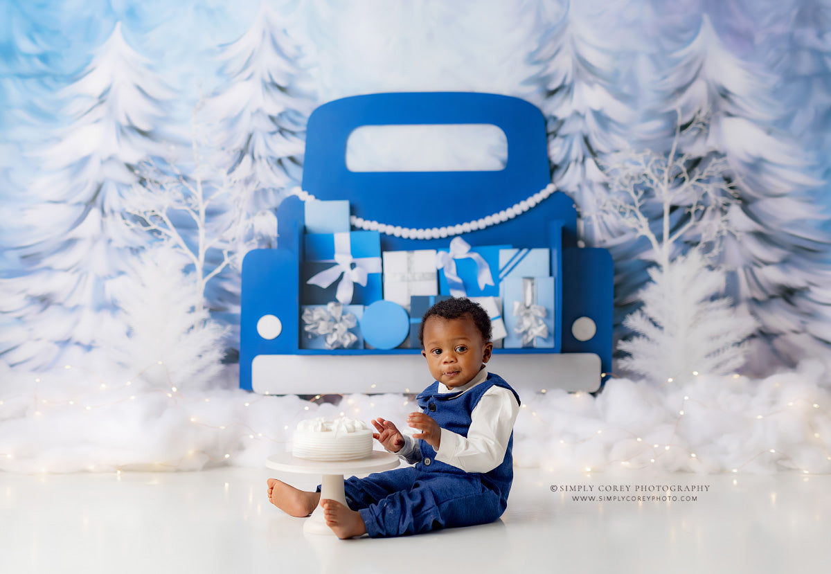 Winter Wonderland Delivery