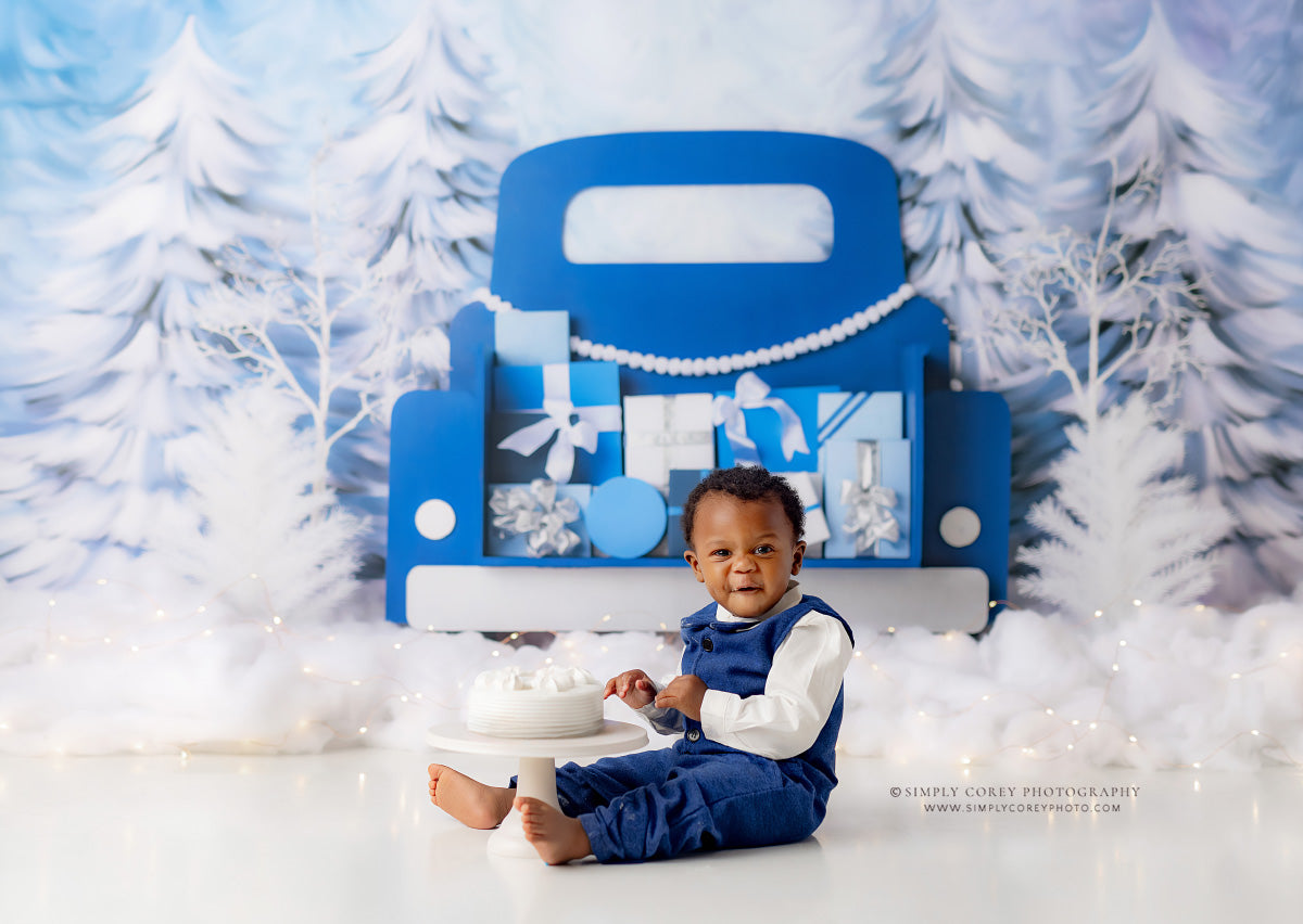 Winter Wonderland Delivery