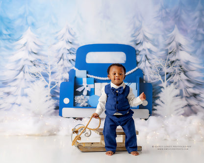 Winter Wonderland Delivery