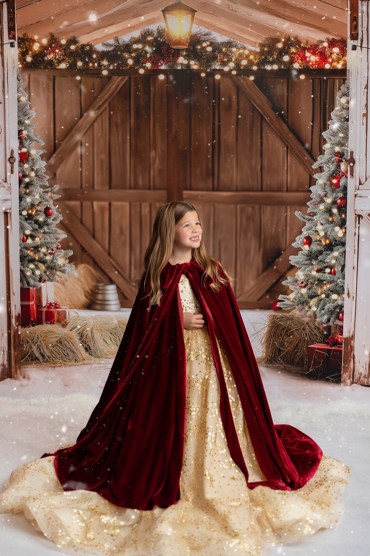 St Nick's Stable - No Reindeer On Main Wall - Room