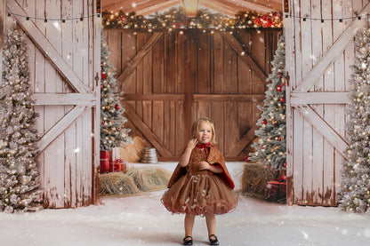 St Nick's Stable - No Reindeer On Main Wall - Room