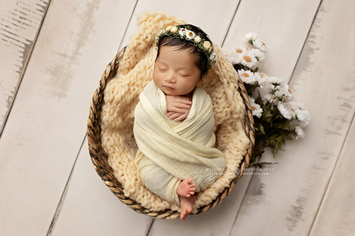 Amanda Cream Barn Wood Planks - Petite