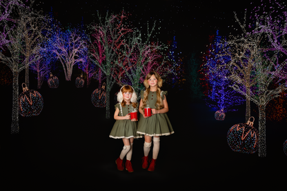 Festive Forest Pathway