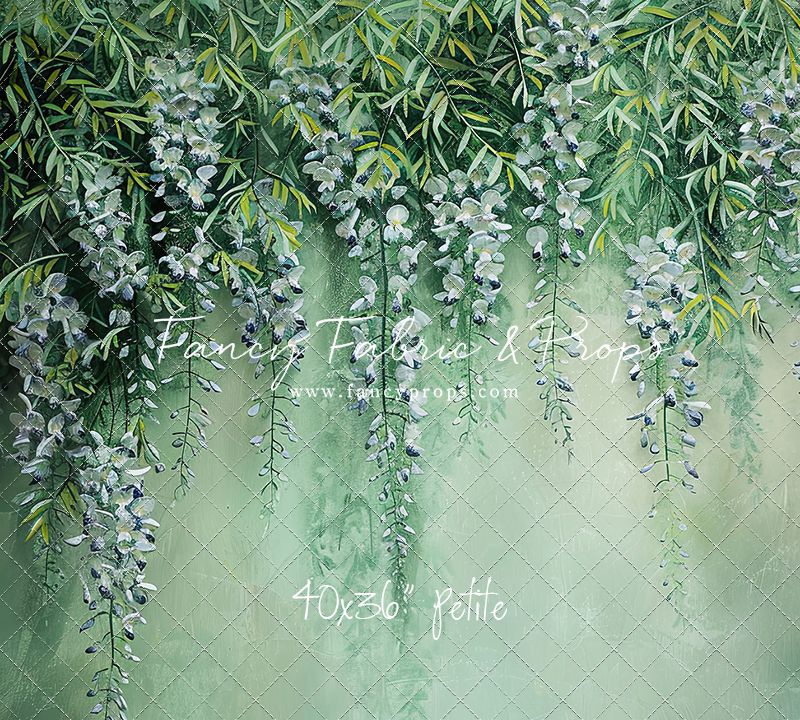 Painted Wisteria - Petite