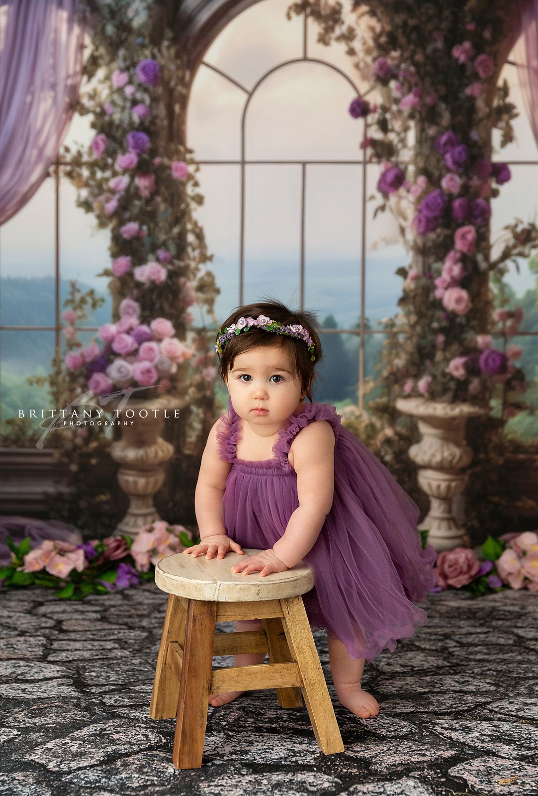 Elegant Princess View