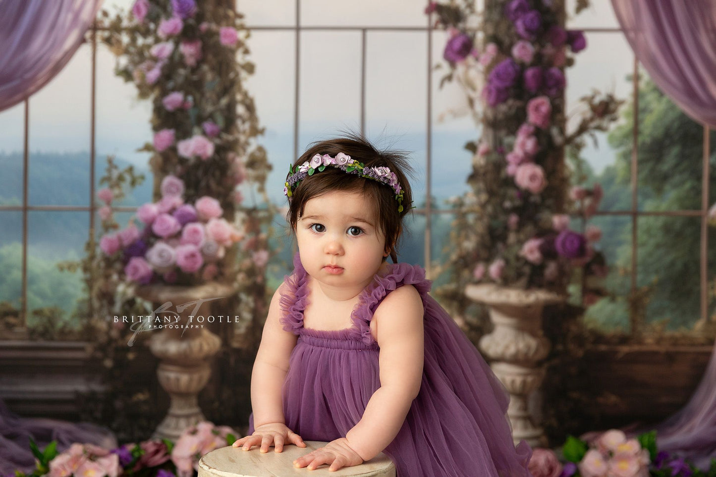 Elegant Princess View