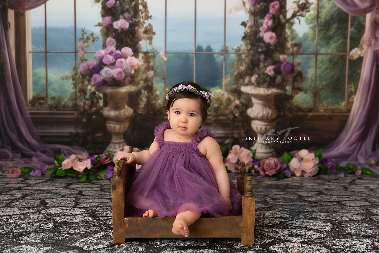 Elegant Princess View