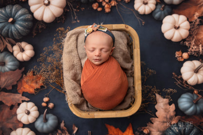 Midnight Harvest - Petite