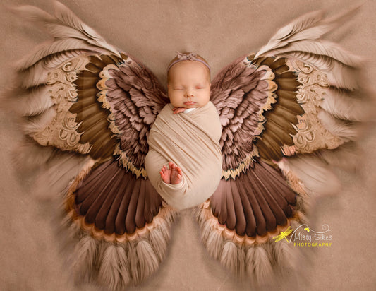 Shimmering Taupe Feathers - Petite