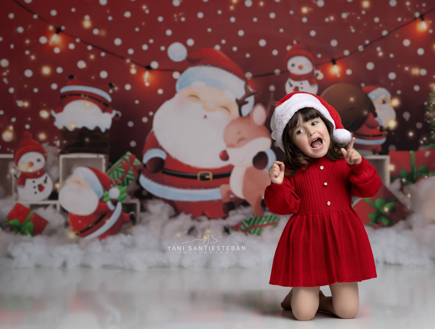 North Pole Birthday Bash