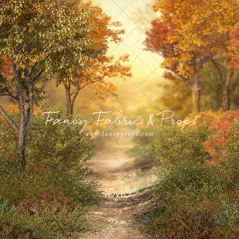 Autumn Forest Path - With Sweep Option