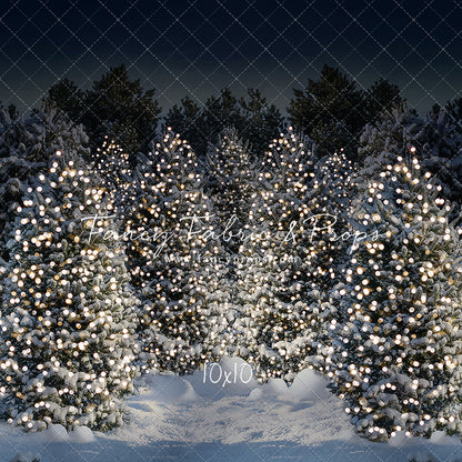 Evening Snowy Winter Tree Farm - No Gate