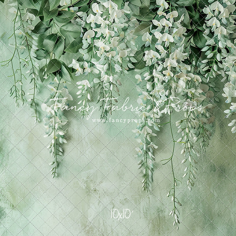 Painted White Wisteria