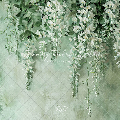 Painted White Wisteria