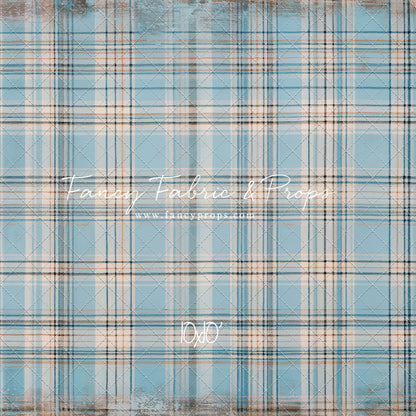 Winter Sky Gingham - With Sweep Option