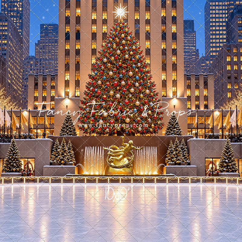 Wintertime Skating Rink - with Sweep Option