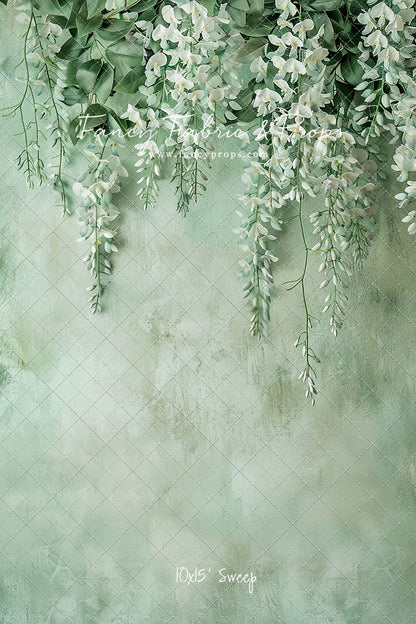 Painted White Wisteria