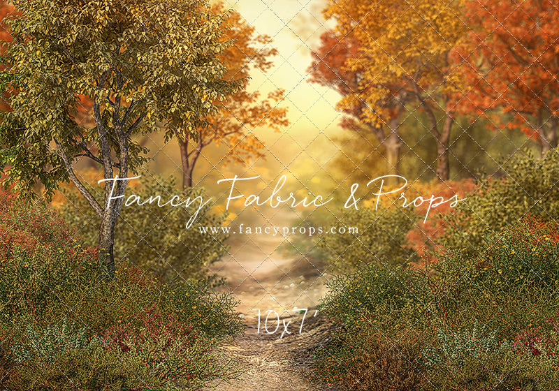 Autumn Forest Path - With Sweep Option