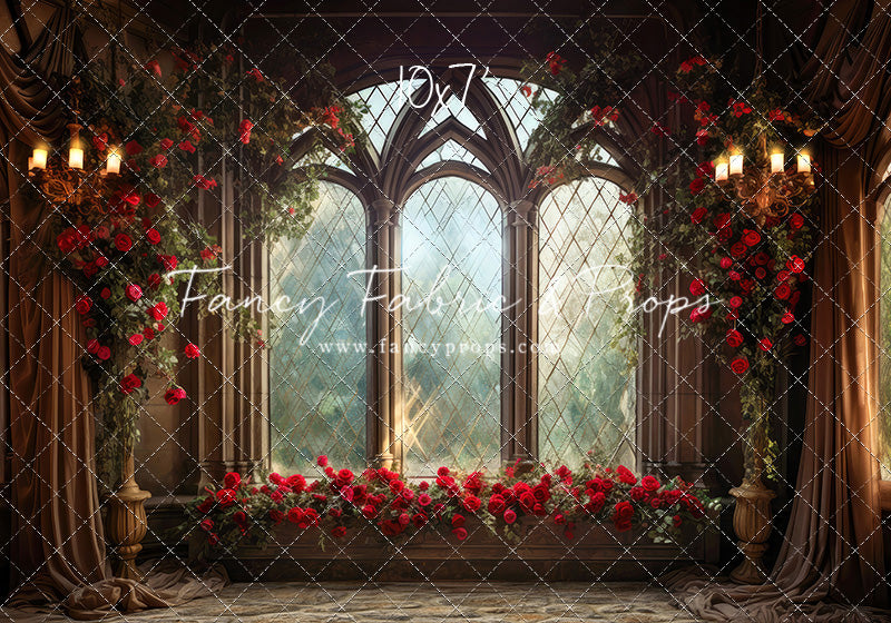 Belle's Castle Window