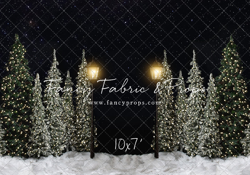 Christmas Forest Path