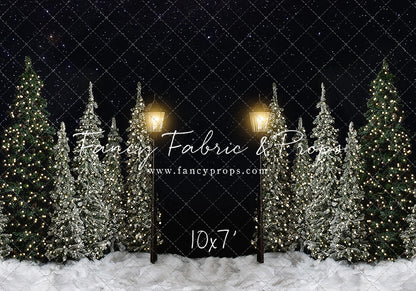 Christmas Forest Path