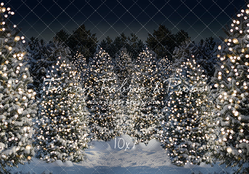 Evening Snowy Winter Tree Farm - No Gate