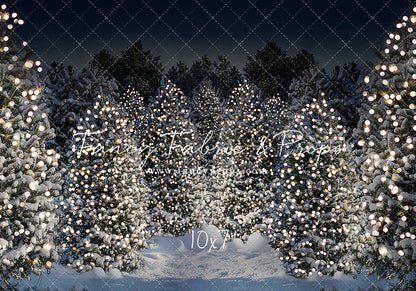 Evening Snowy Winter Tree Farm - No Gate