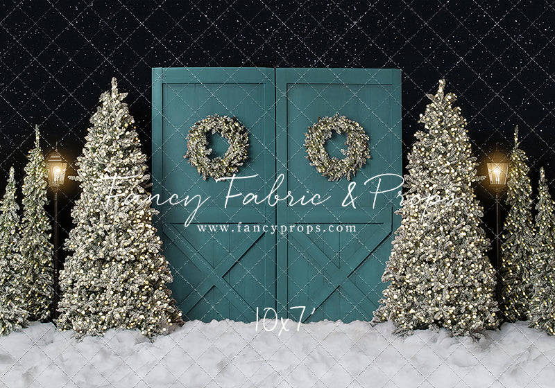 Fancy Blue Barn Doors 2pc Room