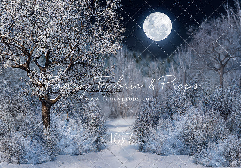 Frosty Winter Night - with Sweep Option